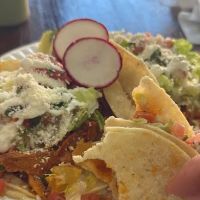 Taco Express ico