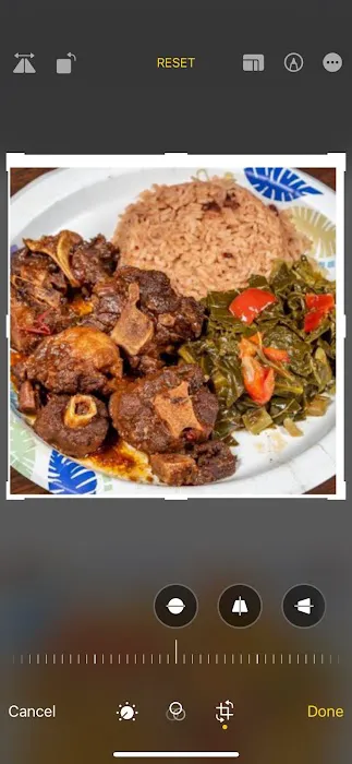 Country Bites Inc Picture 10