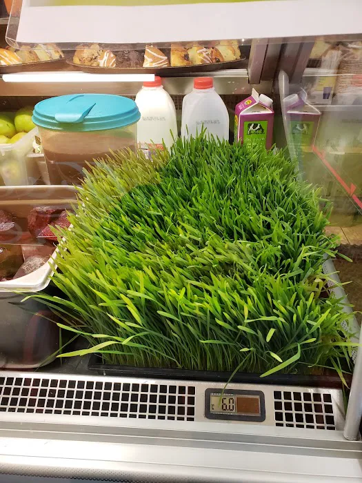 Healthy Fresh Picture 1