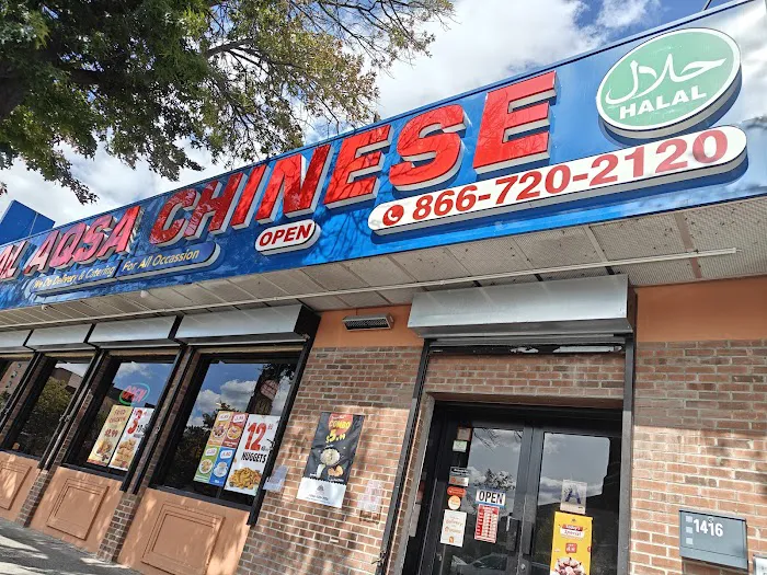 Al Aqsa Kitchen (With halal Chinese) Picture 6