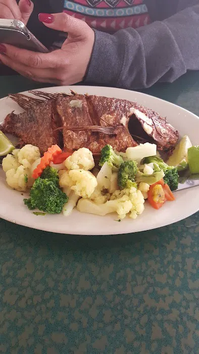 Delicioso Restaurant Picture 8