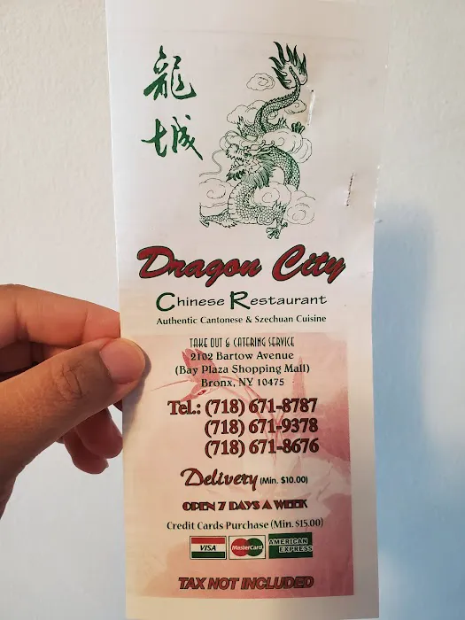 Dragon City Picture 2