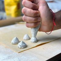 Tortellicious ico