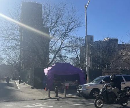 La Carpa Morada