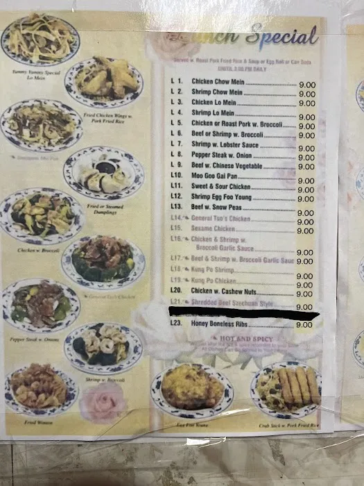 Yummy Yummy Chinese Kitchen Picture 9