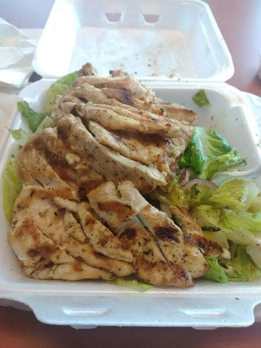 Chirping Chicken Picture 3