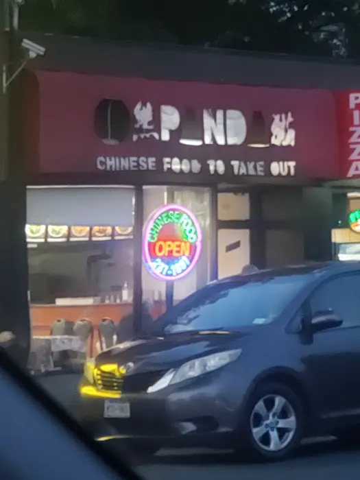 Panda Chinese Kitchen Picture 8