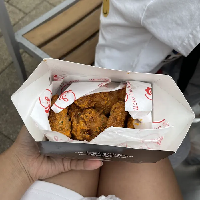 Wako Chicken Picture 1