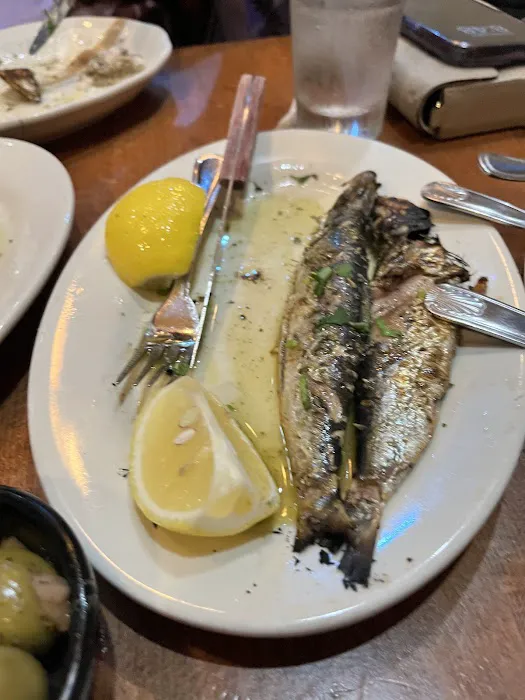 Elia Taverna Picture 8