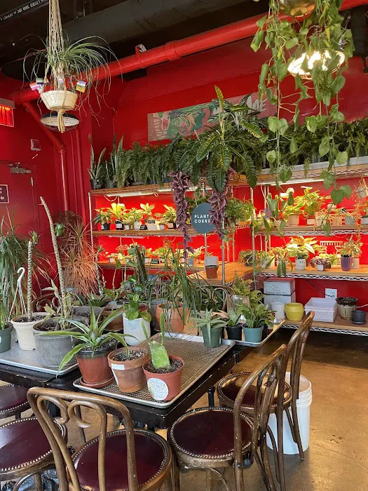 Mae Mae Café & Plant Shop Picture 2