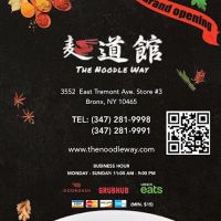 The Noodle Way ico