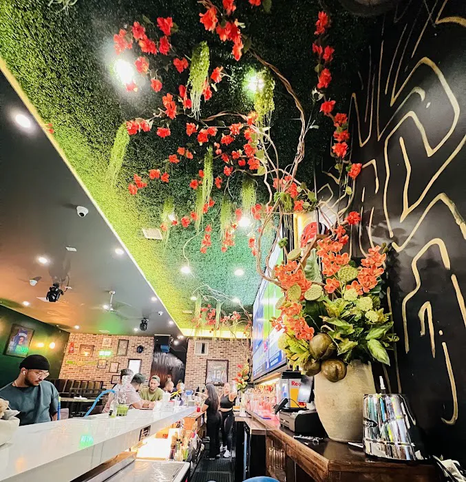 Agua É Coco Bar & Grill Picture 4