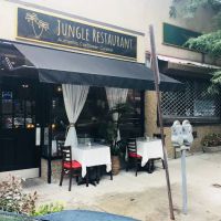 Jungle ico