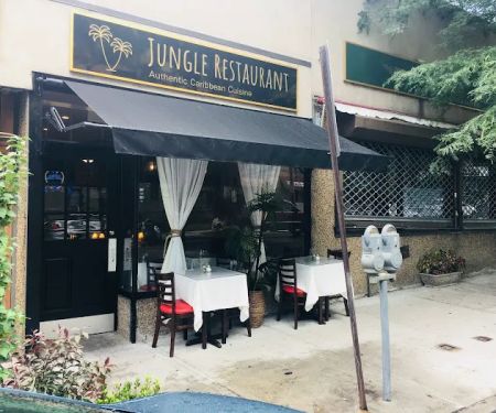 Jungle