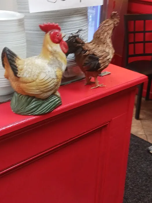 Chickens Gone Wild Picture 3