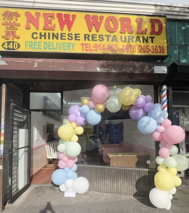 New World Chinese Restaurant Picture 7
