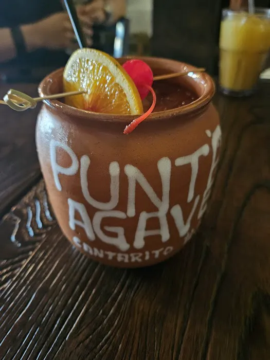 Punta Agave Picture 7
