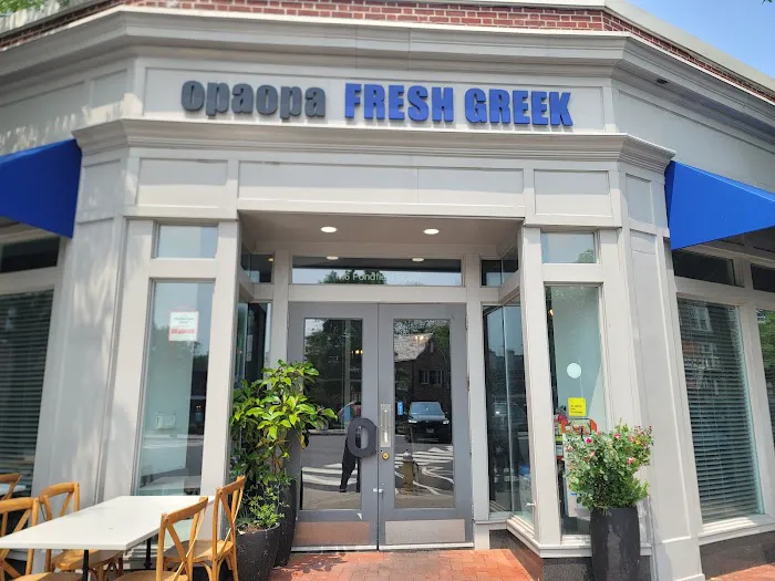 OpaOpa Fresh Greek Picture 1