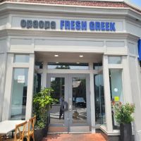 OpaOpa Fresh Greek ico