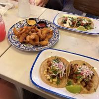 The Taco Project ico