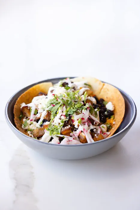 The Taco Project Picture 5