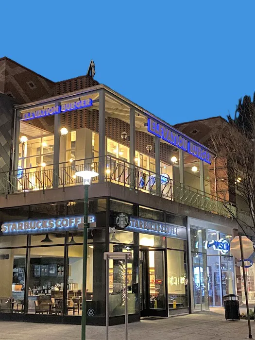 Elevation Burger Picture 1