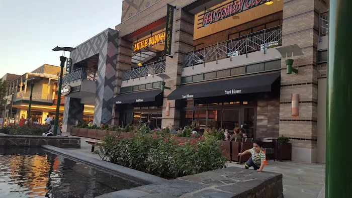 Yard House Picture 1