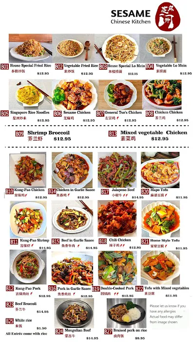 Sesame Chinese Kitchen Picture 5