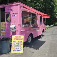 Pink Panther Truck ico