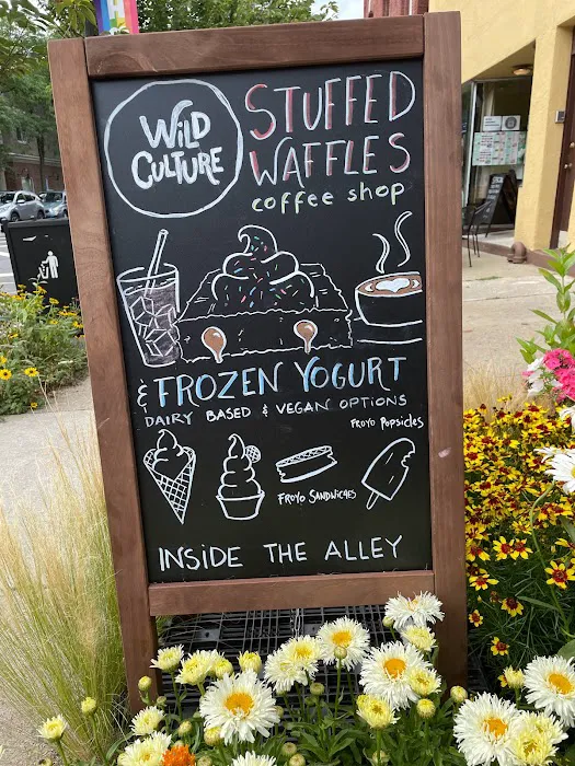 Wild Culture Waffles and Frozen Yogurt Picture 4