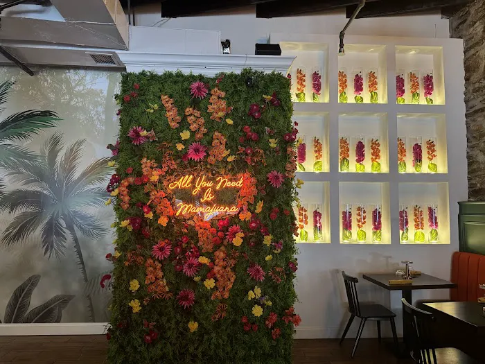 Mamajuana Cafe prime Picture 5
