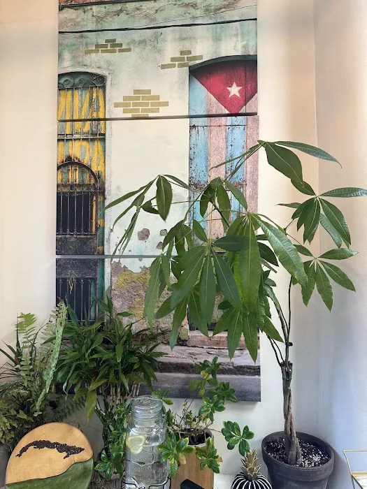 Matanzas Cuban Cafe Picture 5