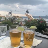 The Hudson ico
