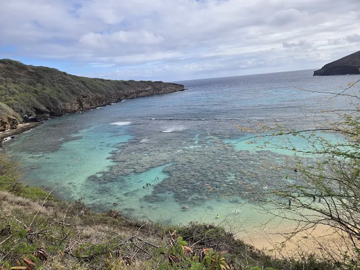 Oahu Hawaiian BBQ Picture 10