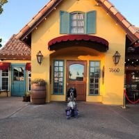Mimi's Cafe ico