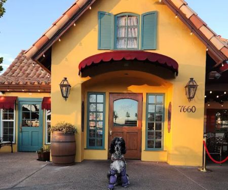 Mimi's Cafe