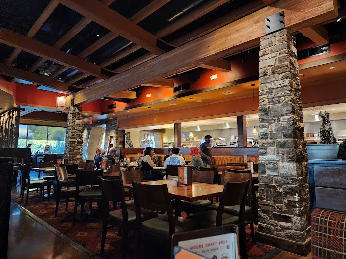 Lazy Dog Restaurant & Bar Picture 6
