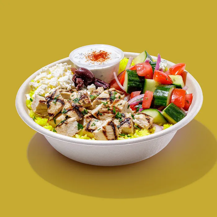 Roadtrip Bowls Made by Lazy Dog Picture 5