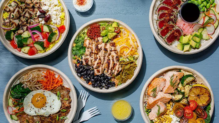 Roadtrip Bowls Made by Lazy Dog Picture 4