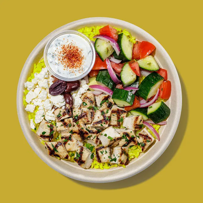 Roadtrip Bowls Made by Lazy Dog Picture 10