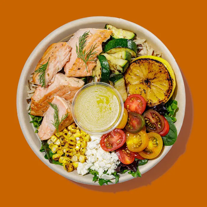 Roadtrip Bowls Made by Lazy Dog Picture 9