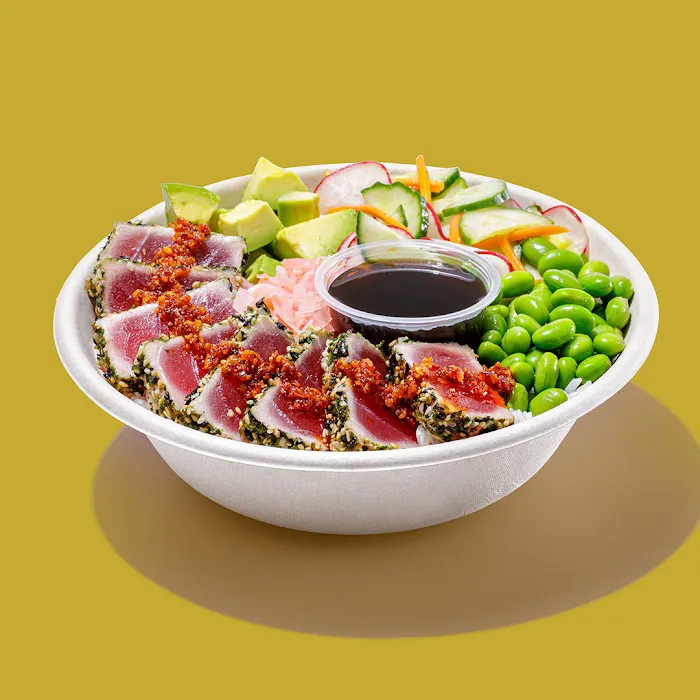 Roadtrip Bowls Made by Lazy Dog Picture 6