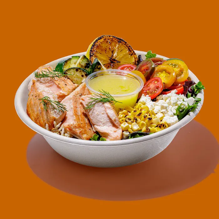 Roadtrip Bowls Made by Lazy Dog Picture 3