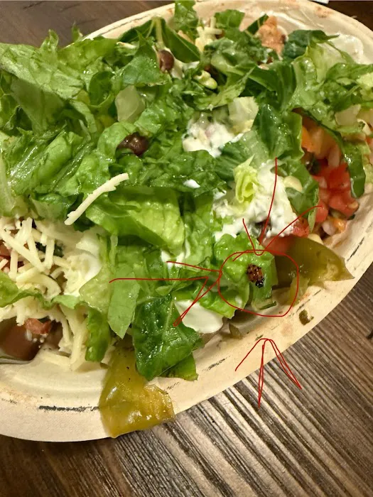 Chipotle Mexican Grill Picture 5