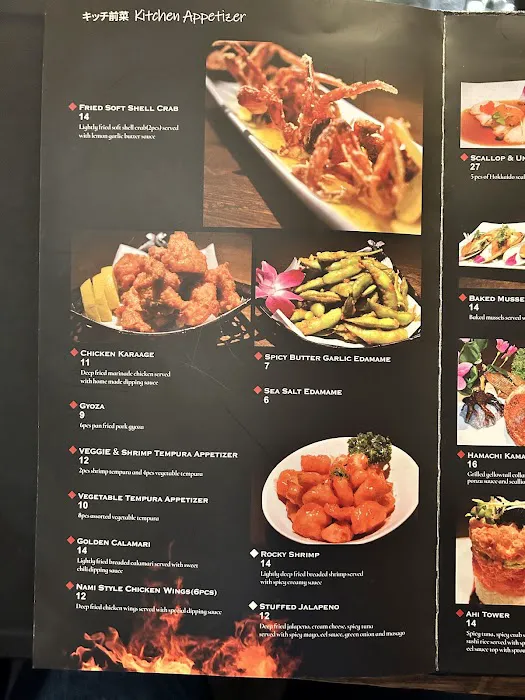 Nami Japanese Cuisine Picture 7
