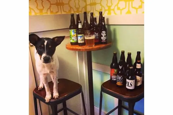 Rocket Dog Brats and Brew- Fresno Picture 1