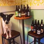 Rocket Dog Brats and Brew- Fresno