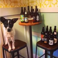 Rocket Dog Brats and Brew- Fresno ico