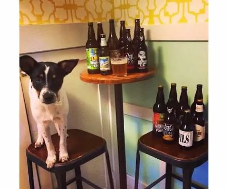 Rocket Dog Brats and Brew- Fresno