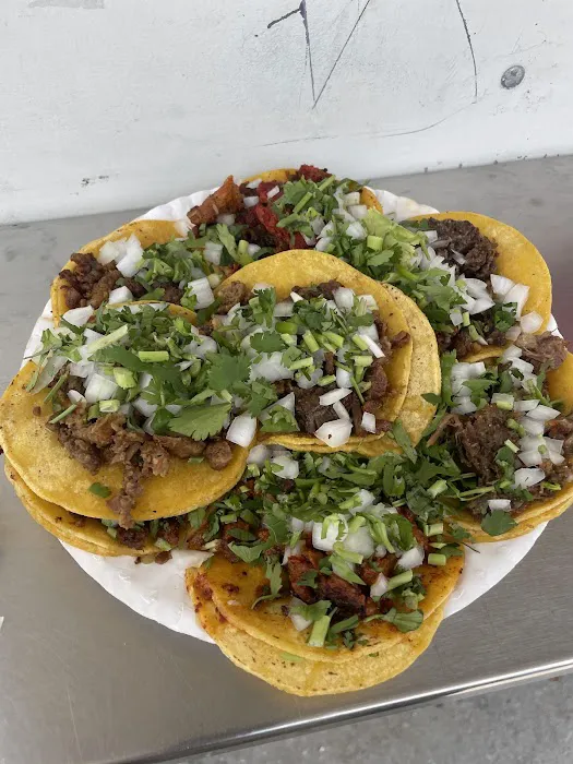 Taqueria Mi Castillo Picture 5